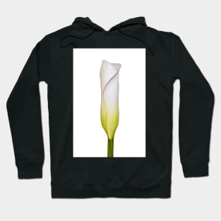 Arum Lily Bud Hoodie